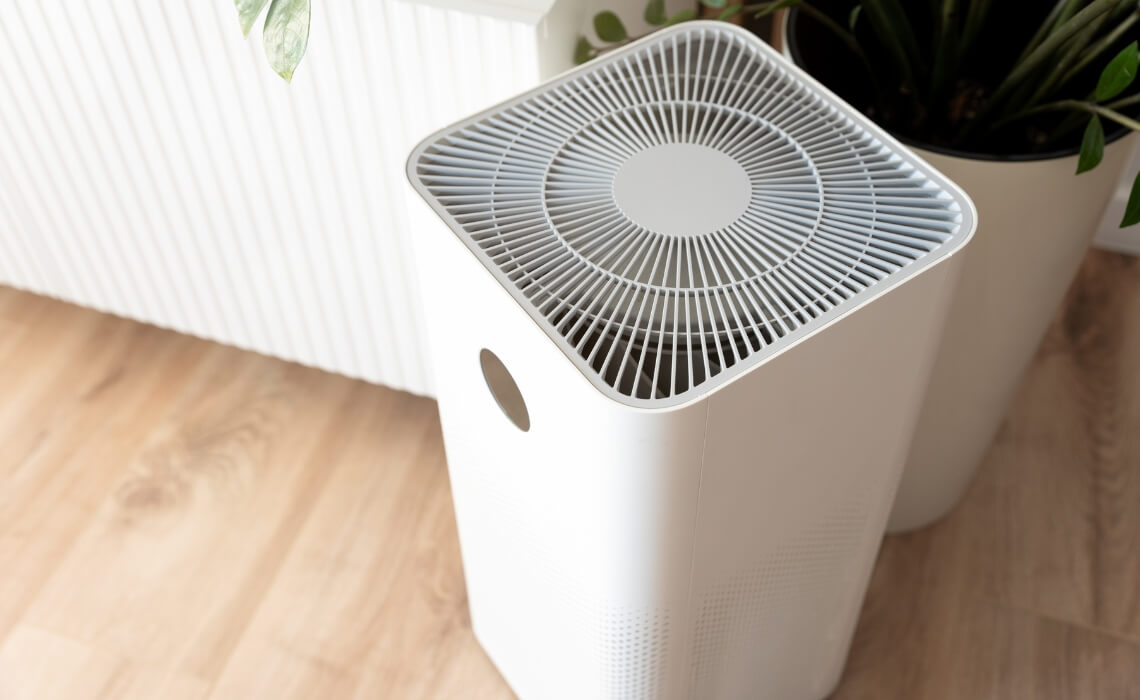 La Importancia de la Purificación del Aire en Tu Hogar